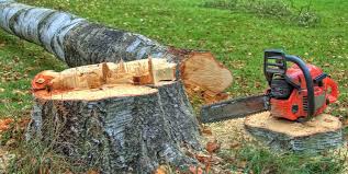 Best Firewood Processing and Delivery  in Chevy Chase Heights, PA